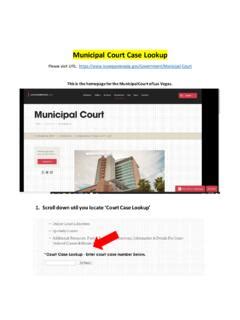 lv muni court case lookup